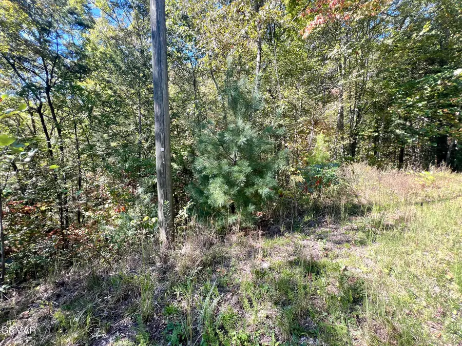 6 Acres Creek Hollow Way, Sevierville, TN 37876 - #3