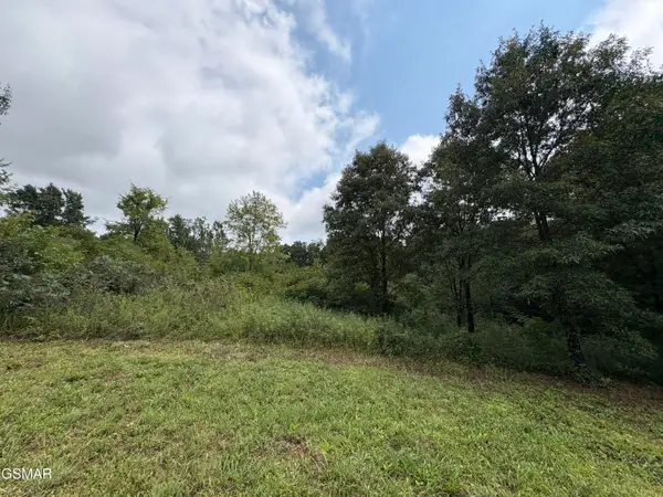Lots 3 & 4 Midway Road, Strawberry Plains, TN 37871