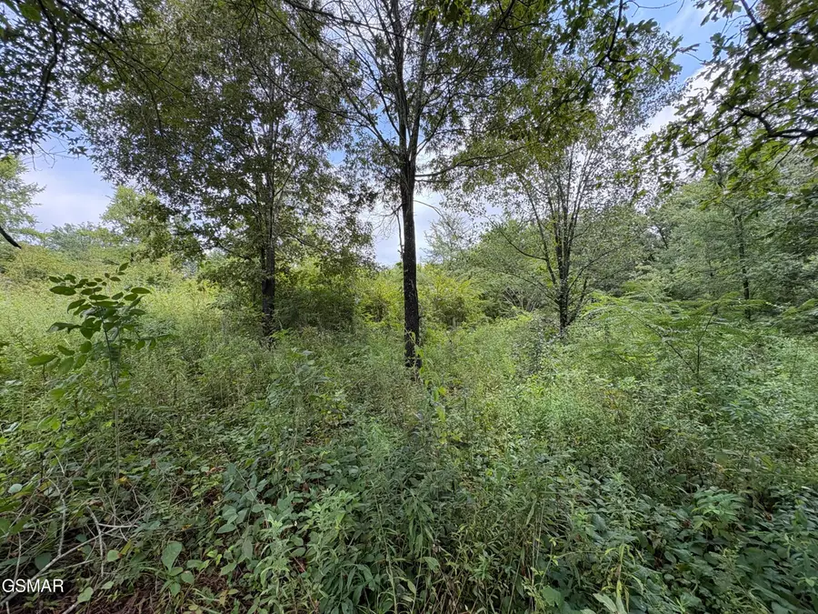 Lots 3 & 4 Midway Road, Strawberry Plains, TN 37871 - #3