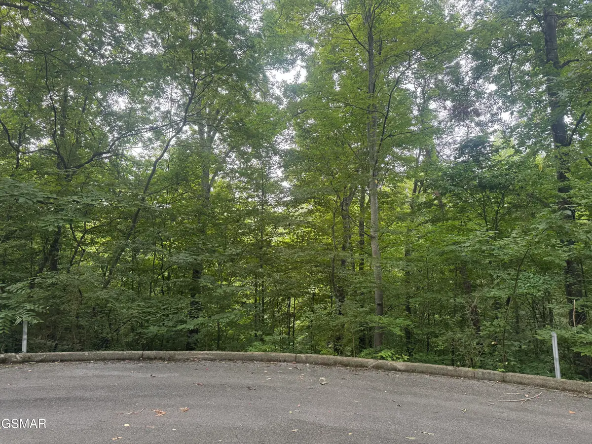 Lot 22 Saddle Spur Way, Sevierville, TN 37862 - #1
