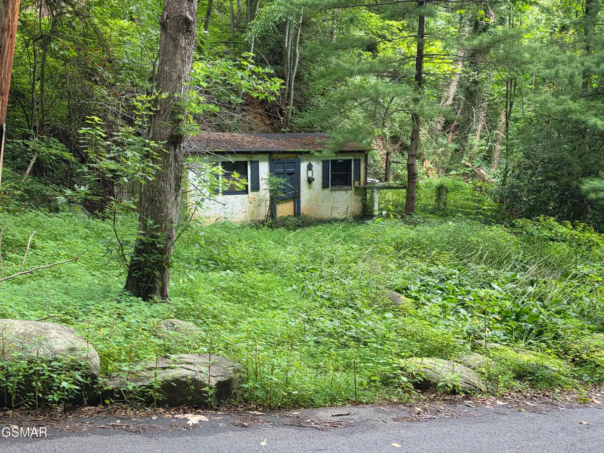 822 Heiden Drive, Gatlinburg, TN 37738 - #1