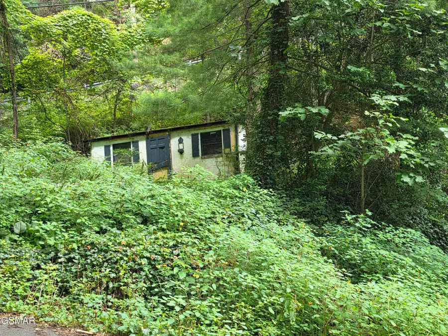 822 Heiden Drive, Gatlinburg, TN 37738 - #2