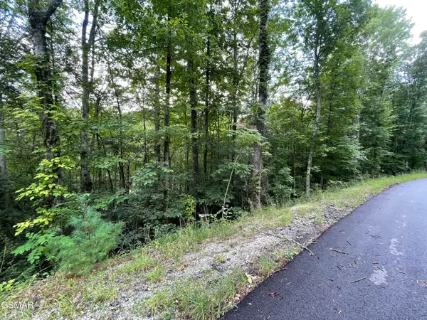 Lot 6 Stepping Stone Drive, Sevierville, TN 37862