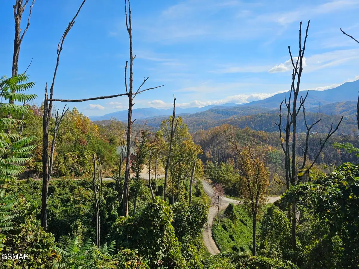 639 Kristis Place, Gatlinburg, TN 37738 - #1