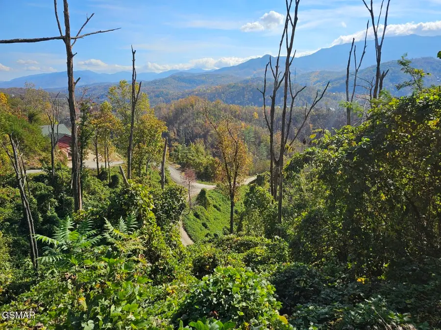 639 Kristis Place, Gatlinburg, TN 37738 - #2