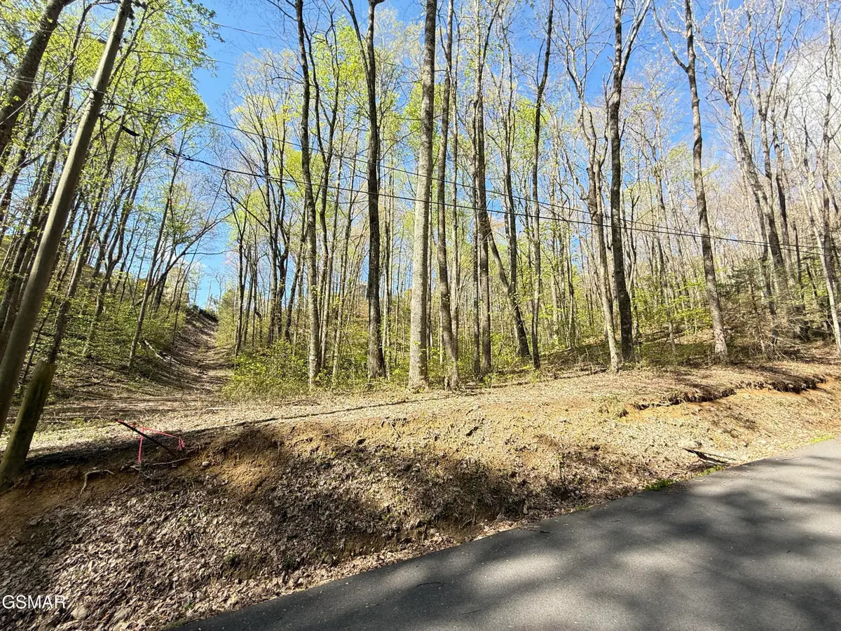 1440 Laurel Road, Gatlinburg, TN 37738 - #1