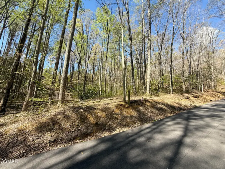 1440 Laurel Road, Gatlinburg, TN 37738 - #2