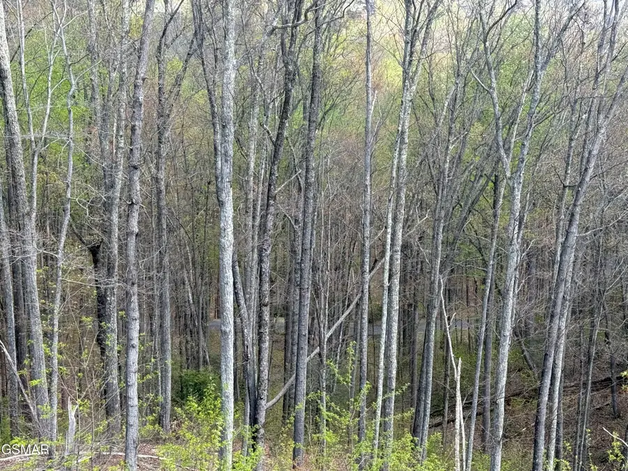 1440 Laurel Road, Gatlinburg, TN 37738 - #3