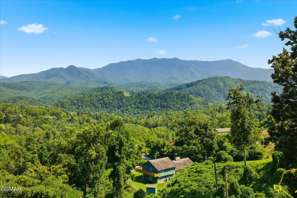 812 Beanstalk Court, Gatlinburg, TN 37738