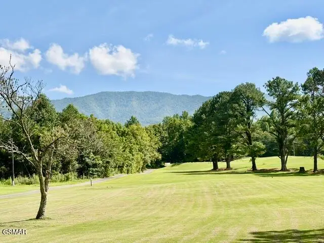 139 Martha Mccarter Road, Gatlinburg, TN 37738 - #2