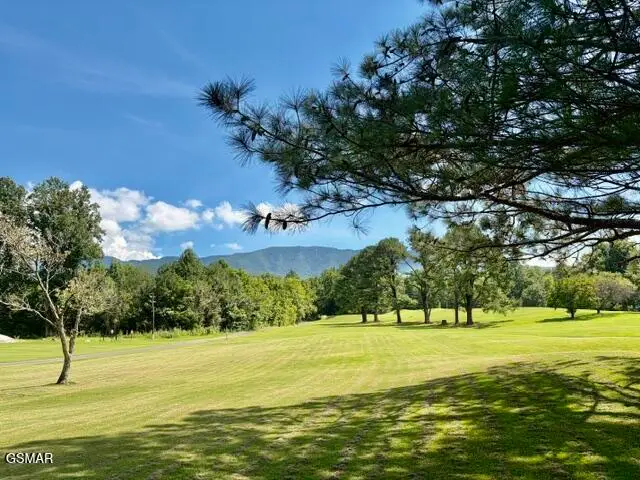 139 Martha Mccarter Road, Gatlinburg, TN 37738 - #3