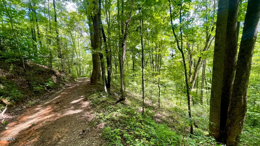 1304 Balsam Circle, Sevierville, TN 37876 - #2