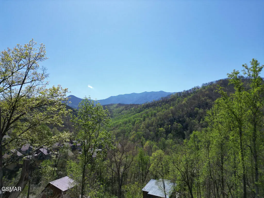 837 Clabo Loop, Gatlinburg, TN 37738 - #1