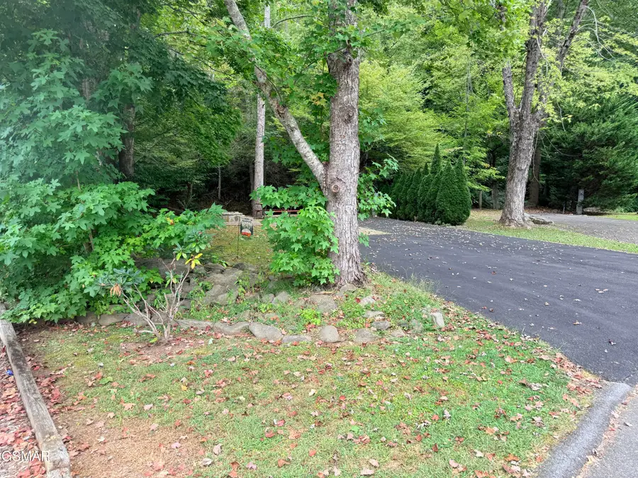 4229 E Parkway #293, Gatlinburg, TN 37738 - #3