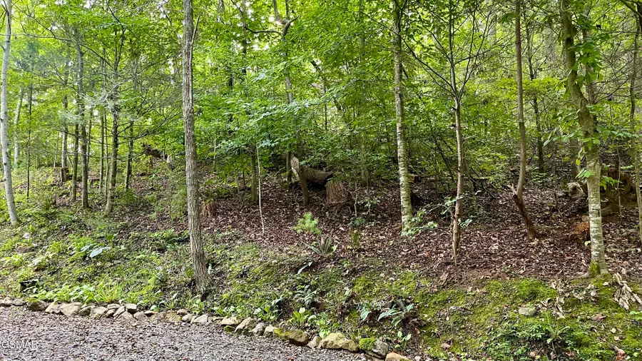 Lot 28 Walden Cove Way, Sevierville, TN 37862 - #2