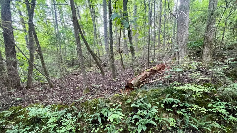 Lot 28 Walden Cove Way, Sevierville, TN 37862 - #3