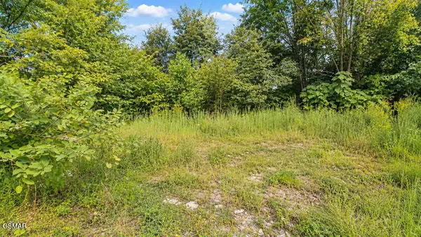 Address Withheld By Seller, Gatlinburg, TN 