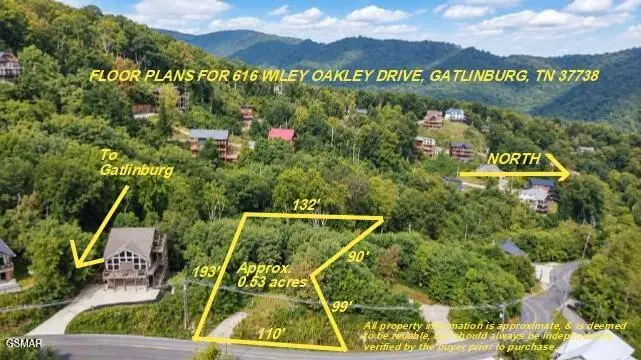 Address Withheld By Seller, Gatlinburg, TN  - #3