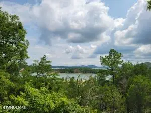 Lot 18 Bay View Point, Sevierville, TN 37876 - #3