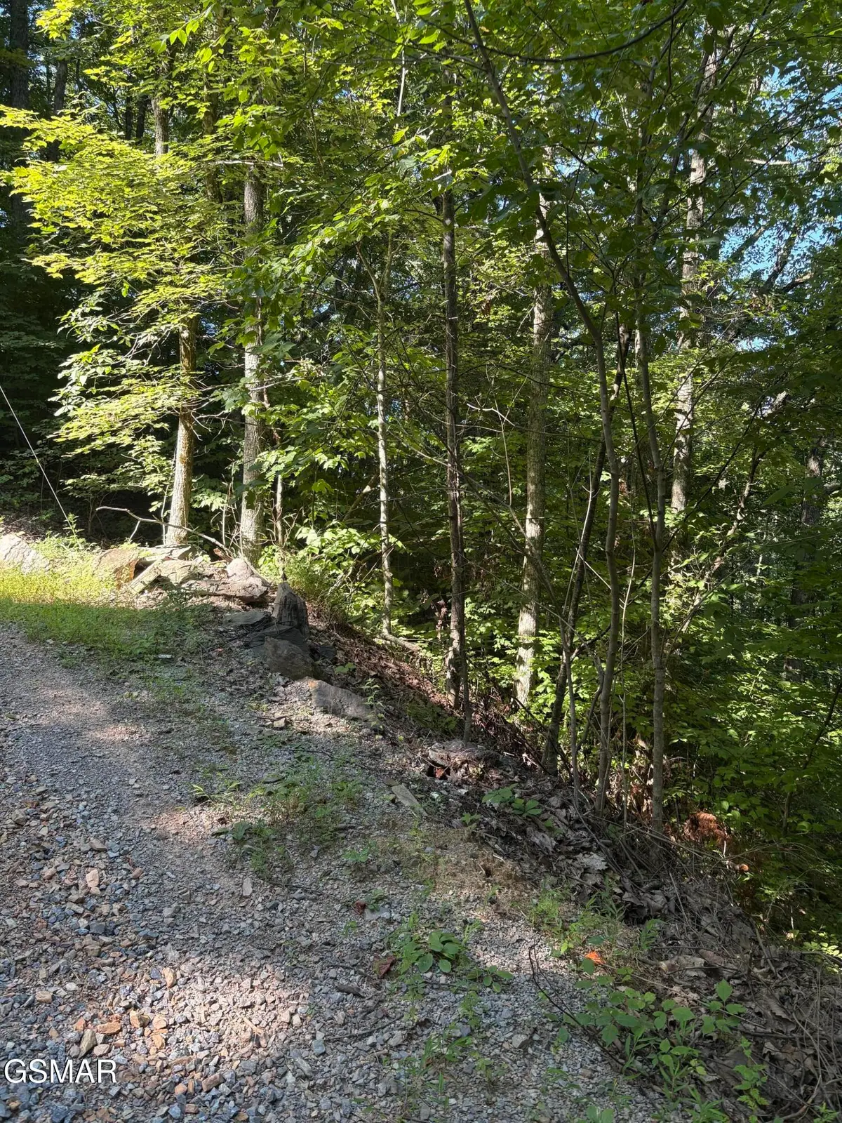 0 Castle Rise Way, Sevierville, TN 37862 - #1