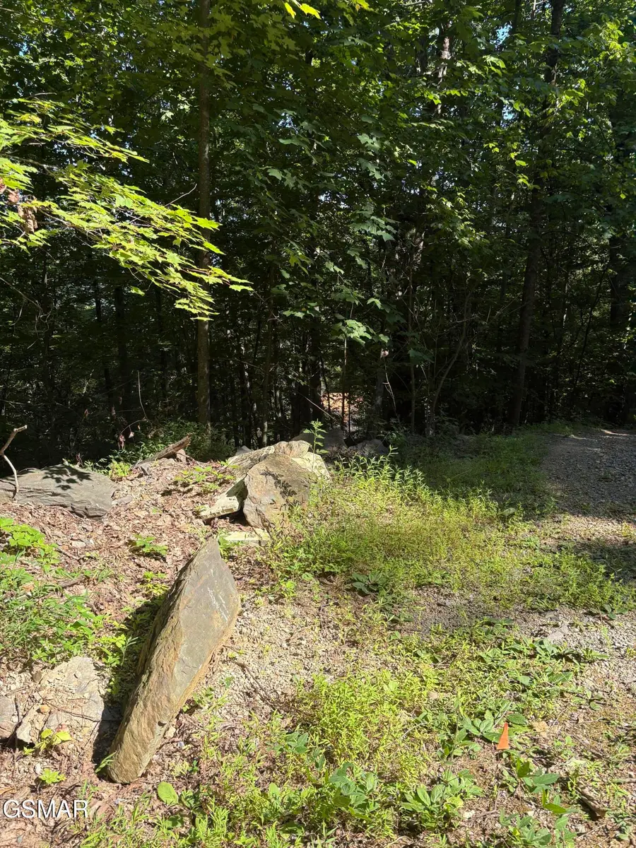 0 Castle Rise Way, Sevierville, TN 37862 - #3