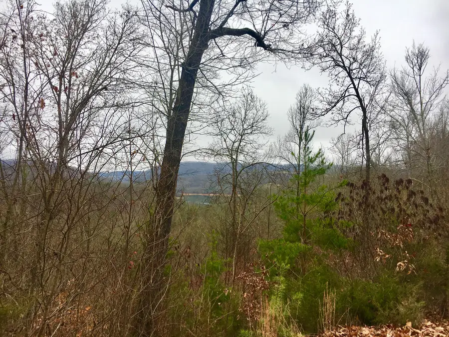 Lot 238 Tanzanite, New Tazewell, TN 37825 - #2
