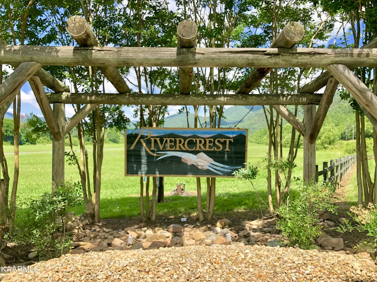 River Rapids Way, Del Rio, TN 37727 - #1