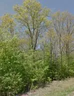 128 Staffordshire Lane, Fairfield Glade, TN 38558 - #2