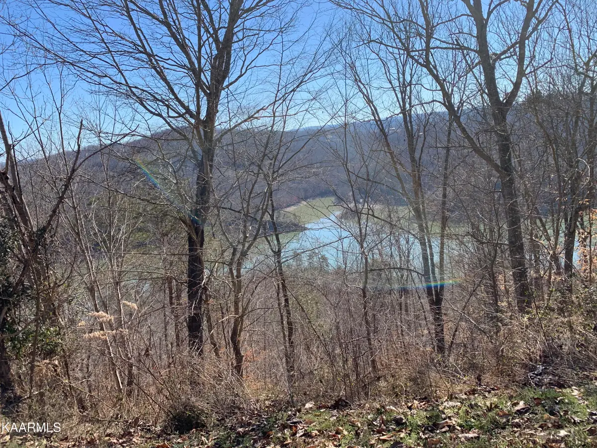 Lot 83 Ridgecrest Rd, New Tazewell, TN 37825 - #1