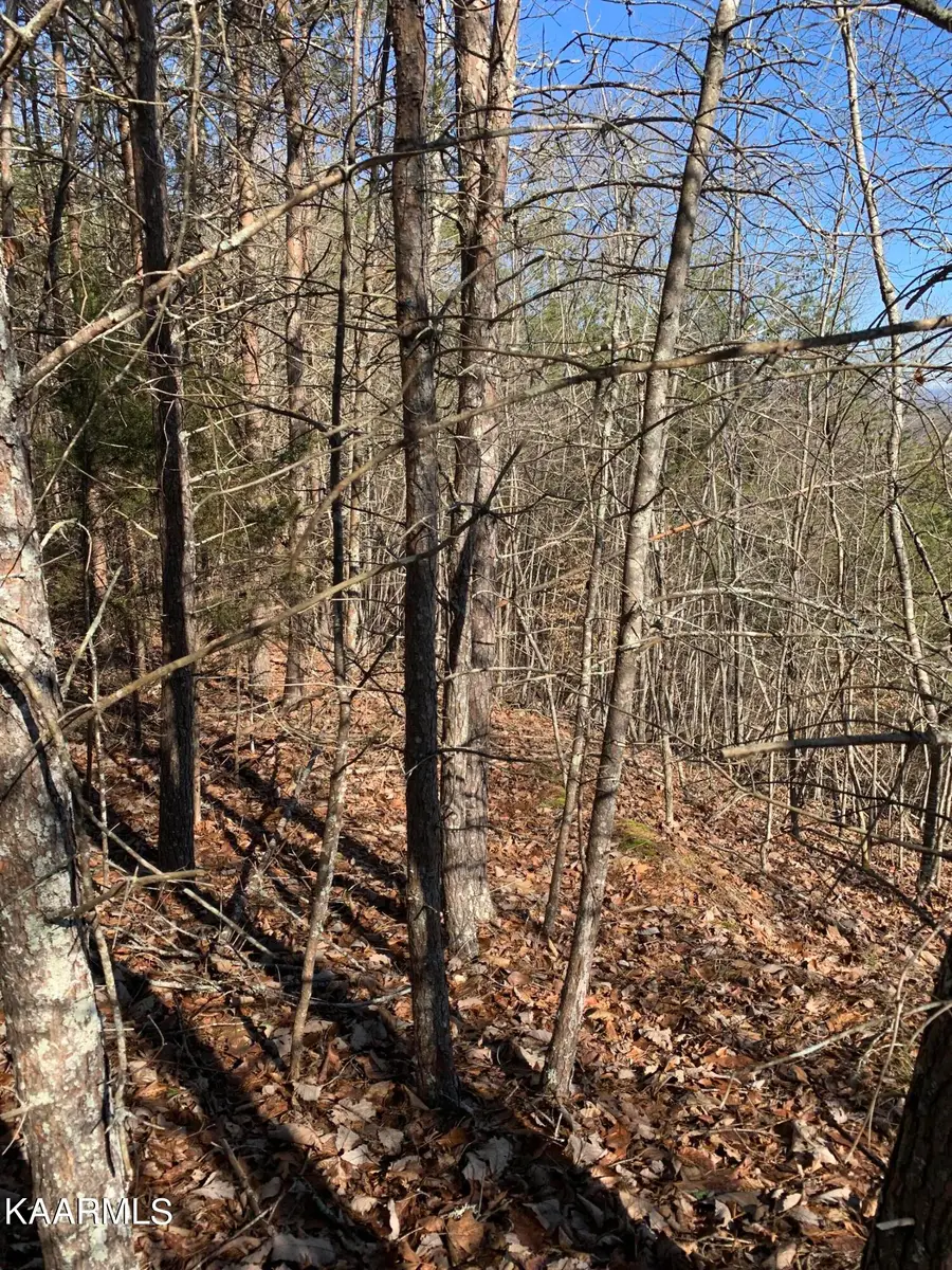 Lot 83 Ridgecrest Rd, New Tazewell, TN 37825 - #3
