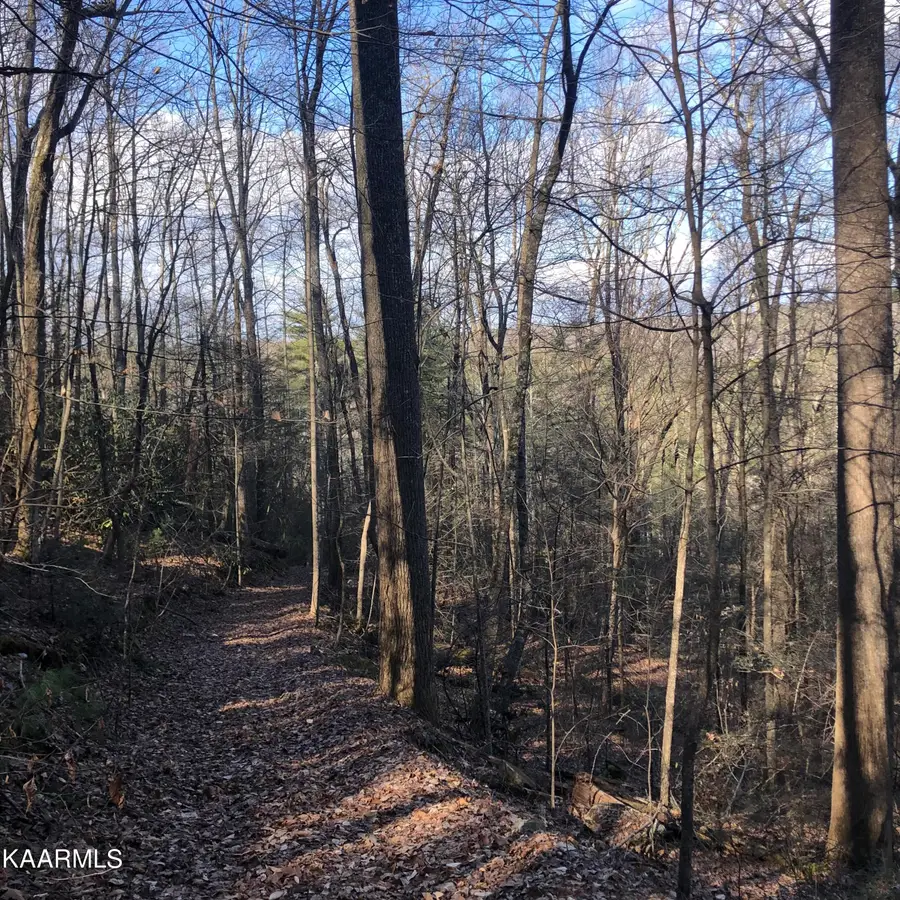 450 Holder Cemetery Rd, Tellico Plains, TN 37385 - #3