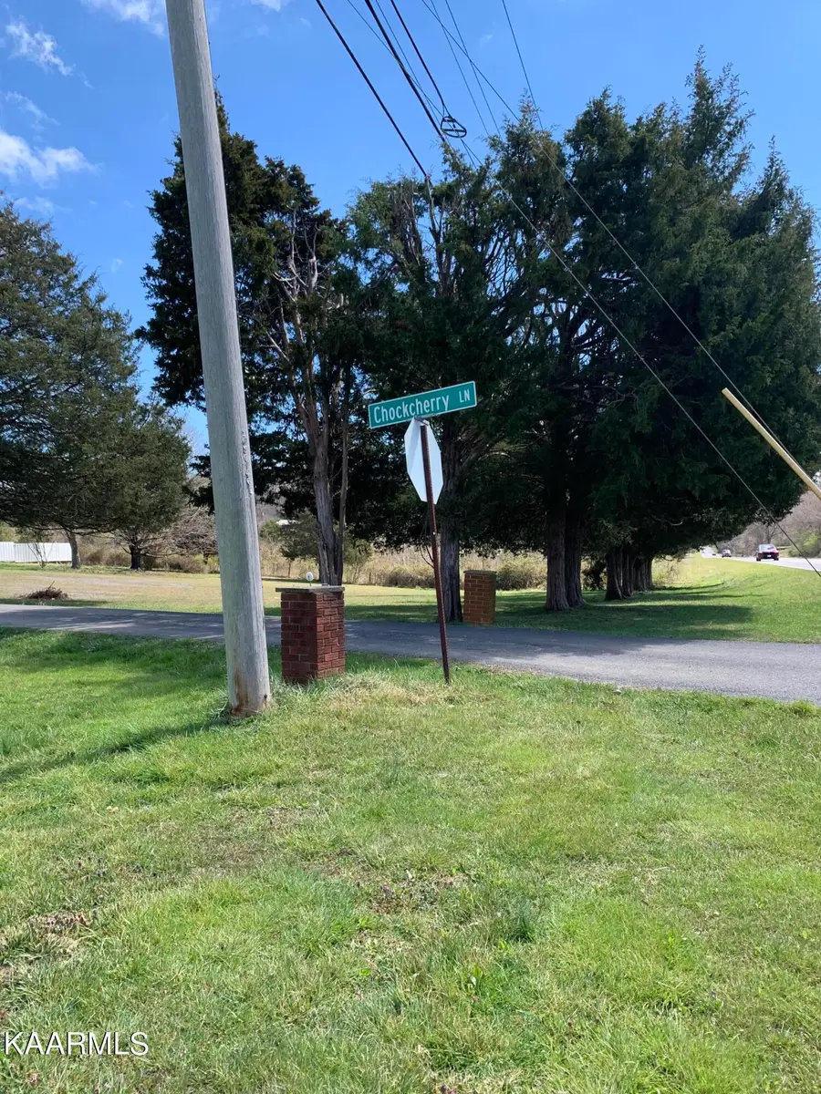 3406 Chockcherry Lane, White Pine, TN 37890 - #3