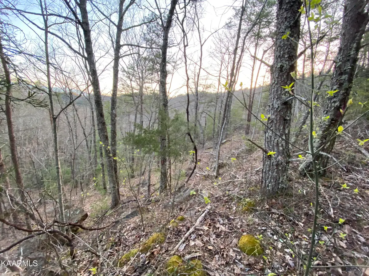Lot 46 Beechwood St, Sevierville, TN 37876 - #1