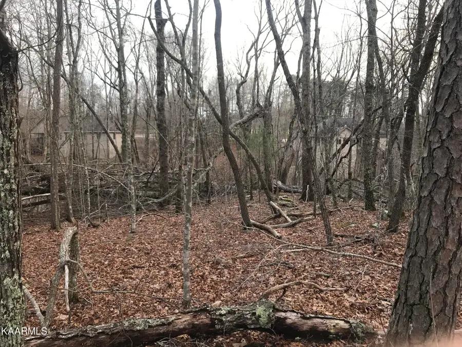 22 Harrell Lane, Crossville, TN 38558 - #3