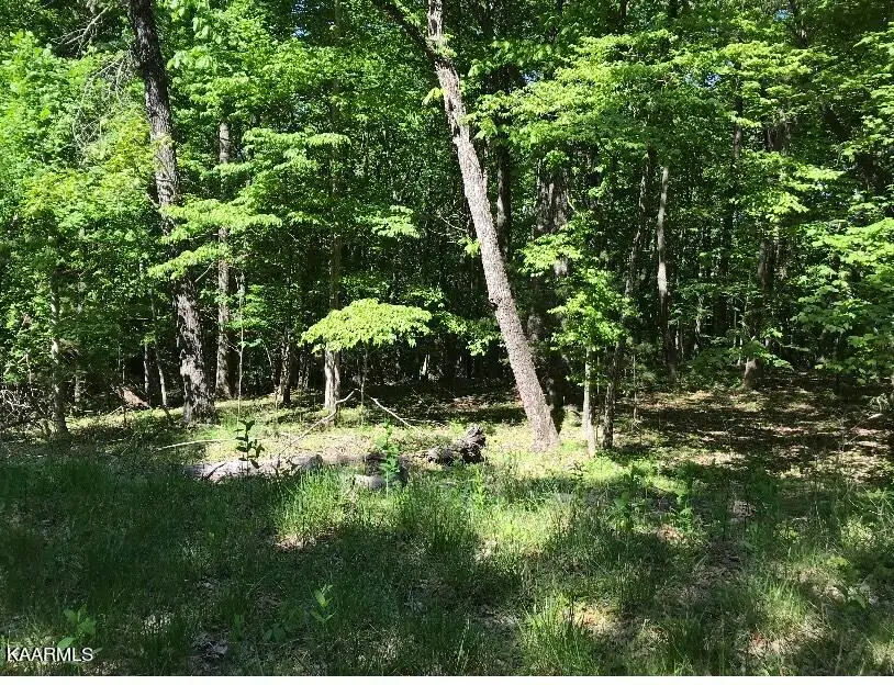 148 Springdale Drive, Fairfield Glade, TN 38558 - #2