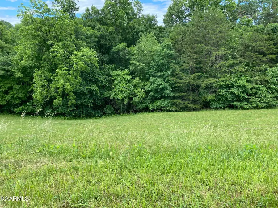 Lot 257 Marble Point Way, New Tazewell, TN 37825 - #2