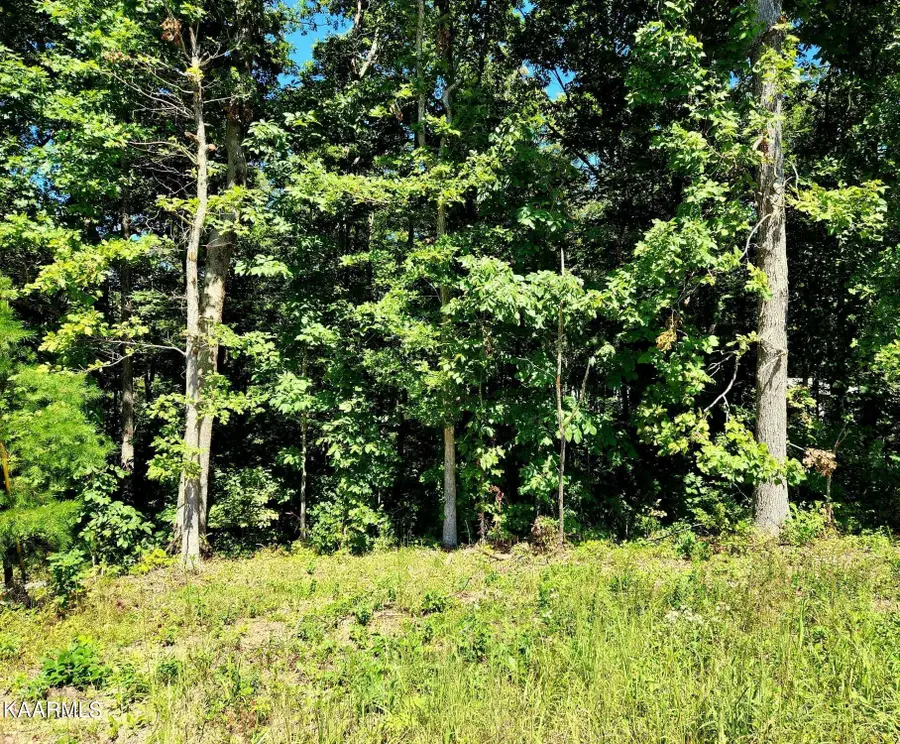 1008 Chief Day Break Drive, Crossville, TN 38572 - #3