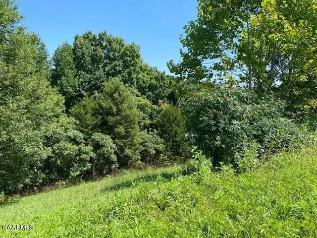 Lot 255 Marble Point Way, New Tazewell, TN 37825 - #1
