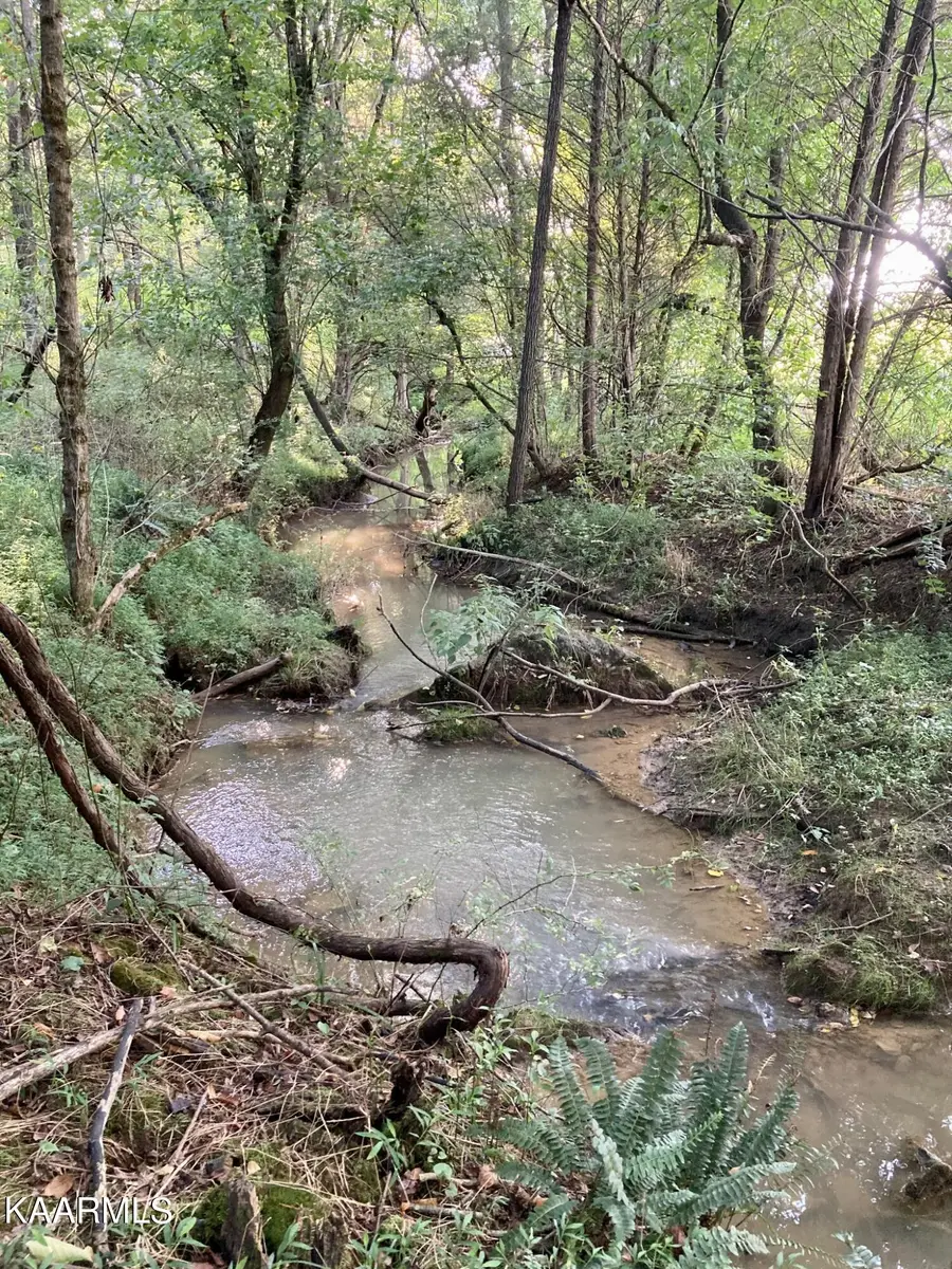 161 Jay Barnett Rd, Jonesborough, TN 37659 - #2