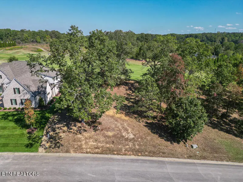 605 Gallery Court, Lenoir City, TN 37772 - #2