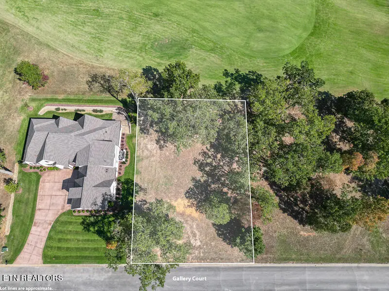 605 Gallery Court, Lenoir City, TN 37772 - #3