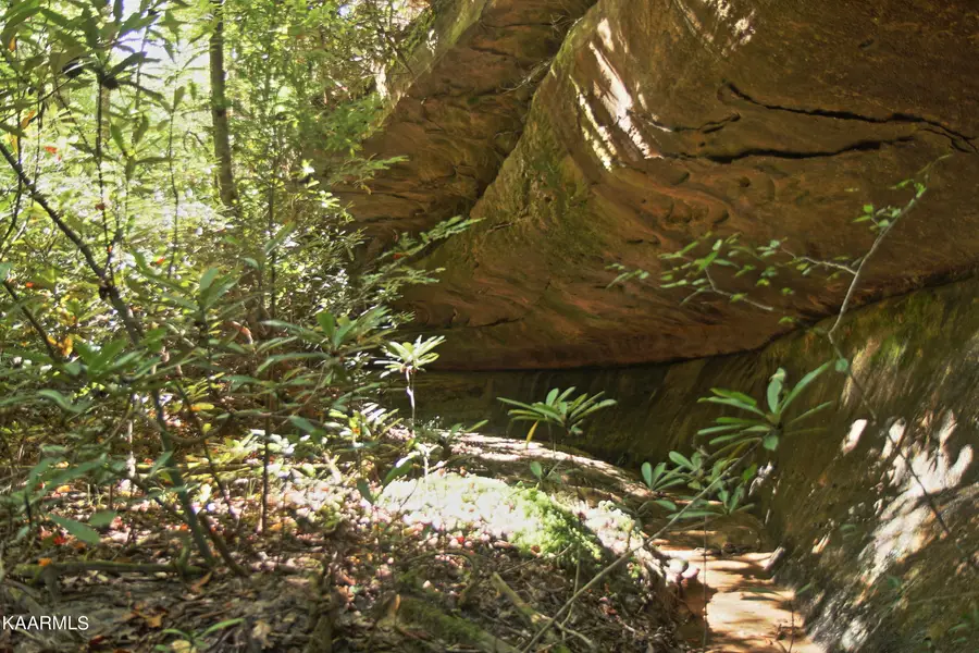 Lot 526 Sun Branch Dr, Jamestown, TN 38556 - #3