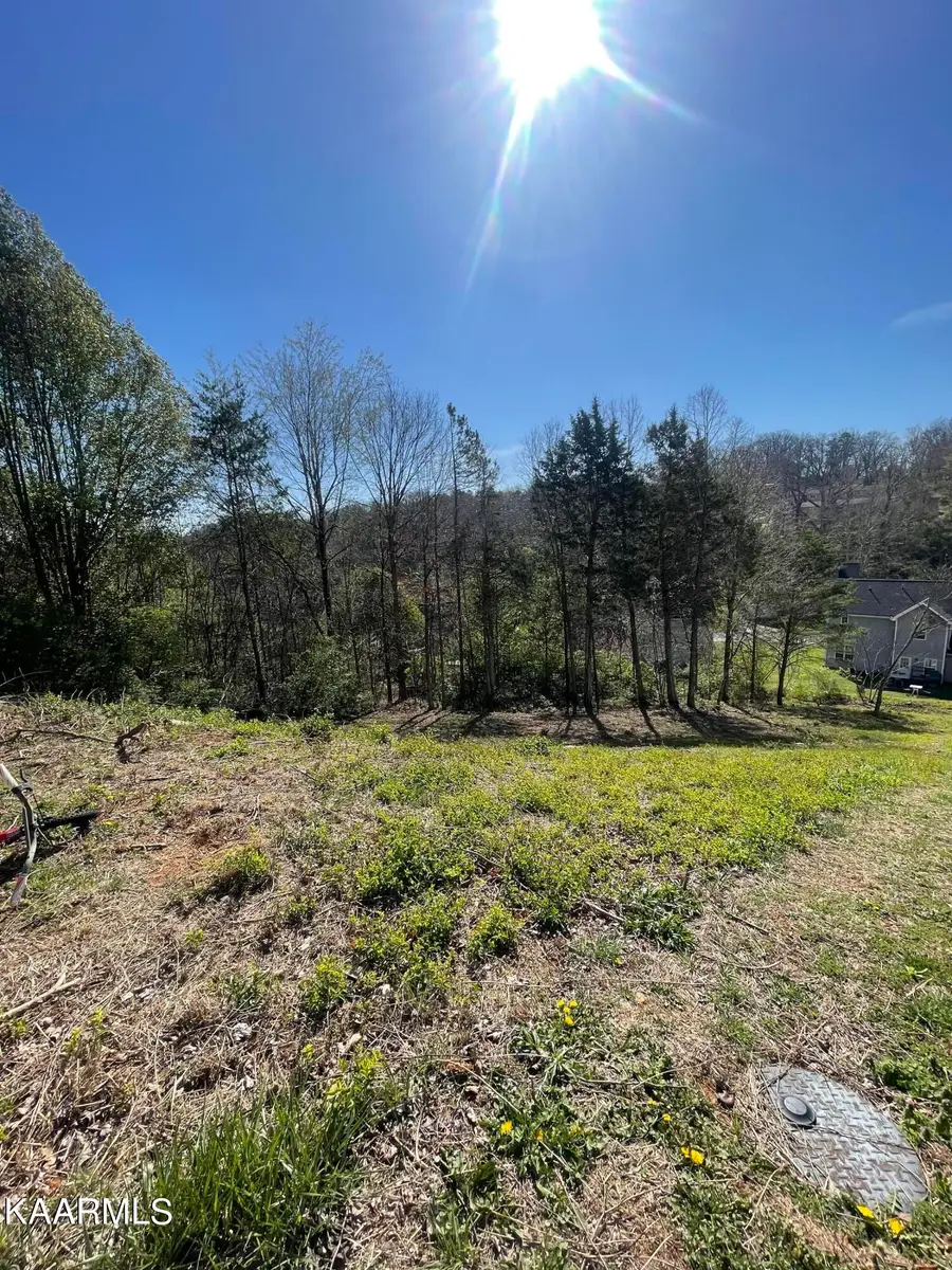 1948 Winter Winds Lane, Knoxville, TN 37909 - #2