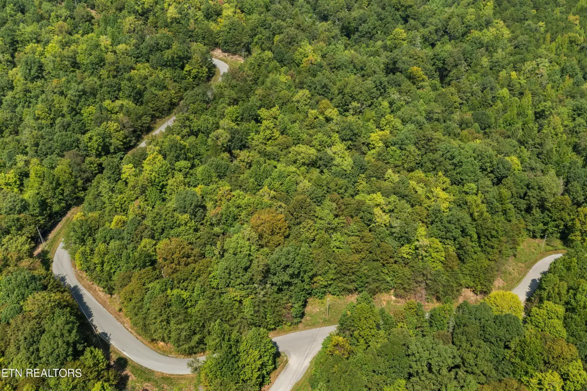 Lot 143 Whistle Valley Rd, New Tazewell, TN 37825 - #1