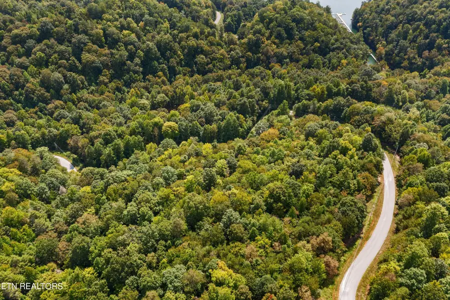 Lot 143 Whistle Valley Rd, New Tazewell, TN 37825 - #2