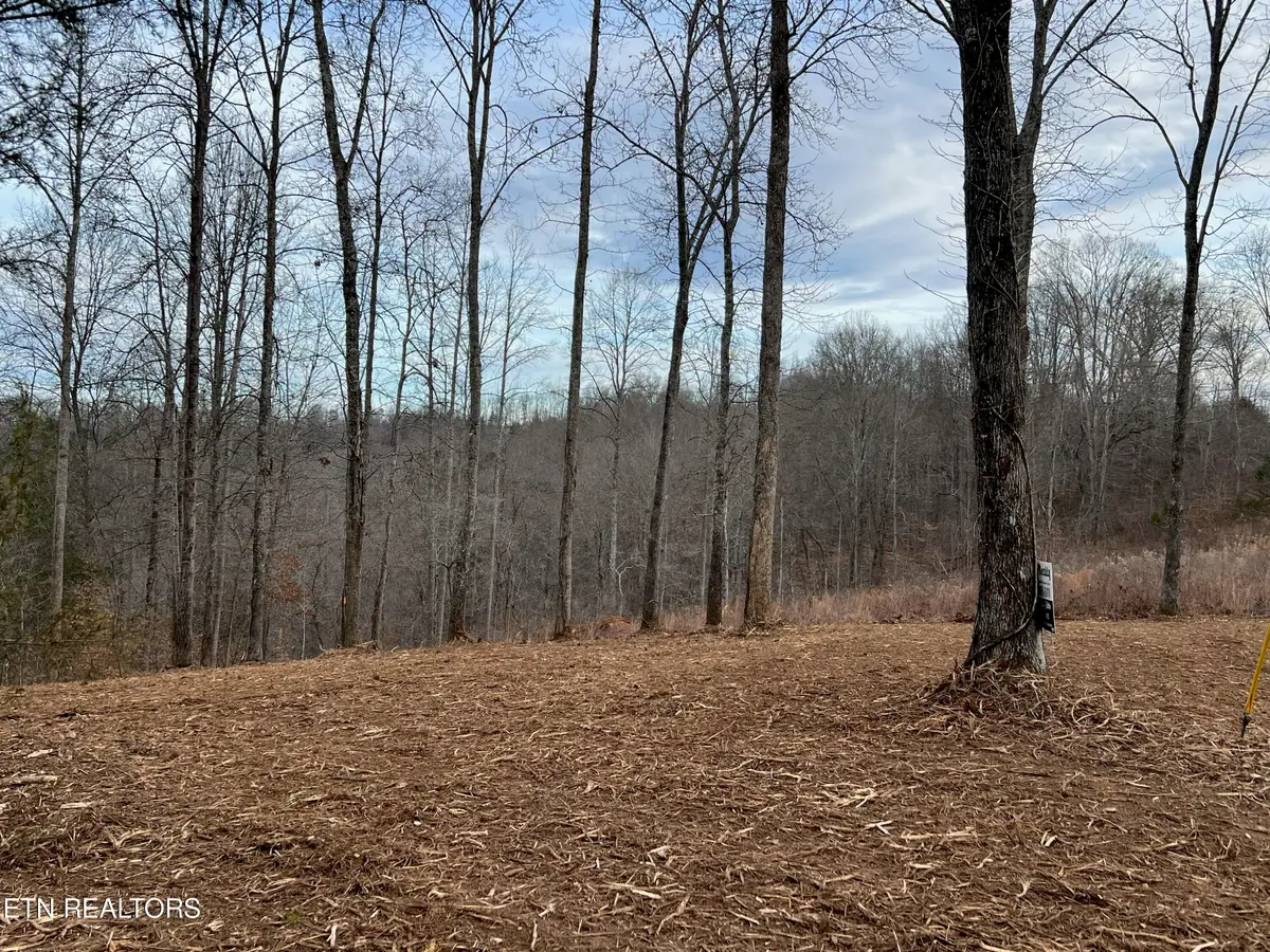 92 Lot Saddleridge Drive, Speedwell, TN 37870 - #1