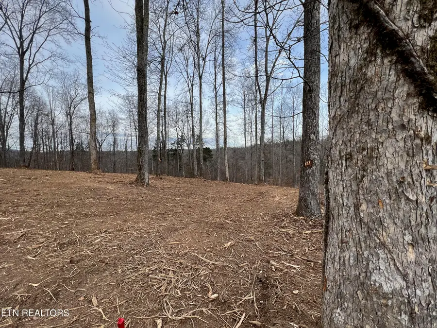 92 Lot Saddleridge Drive, Speedwell, TN 37870 - #3