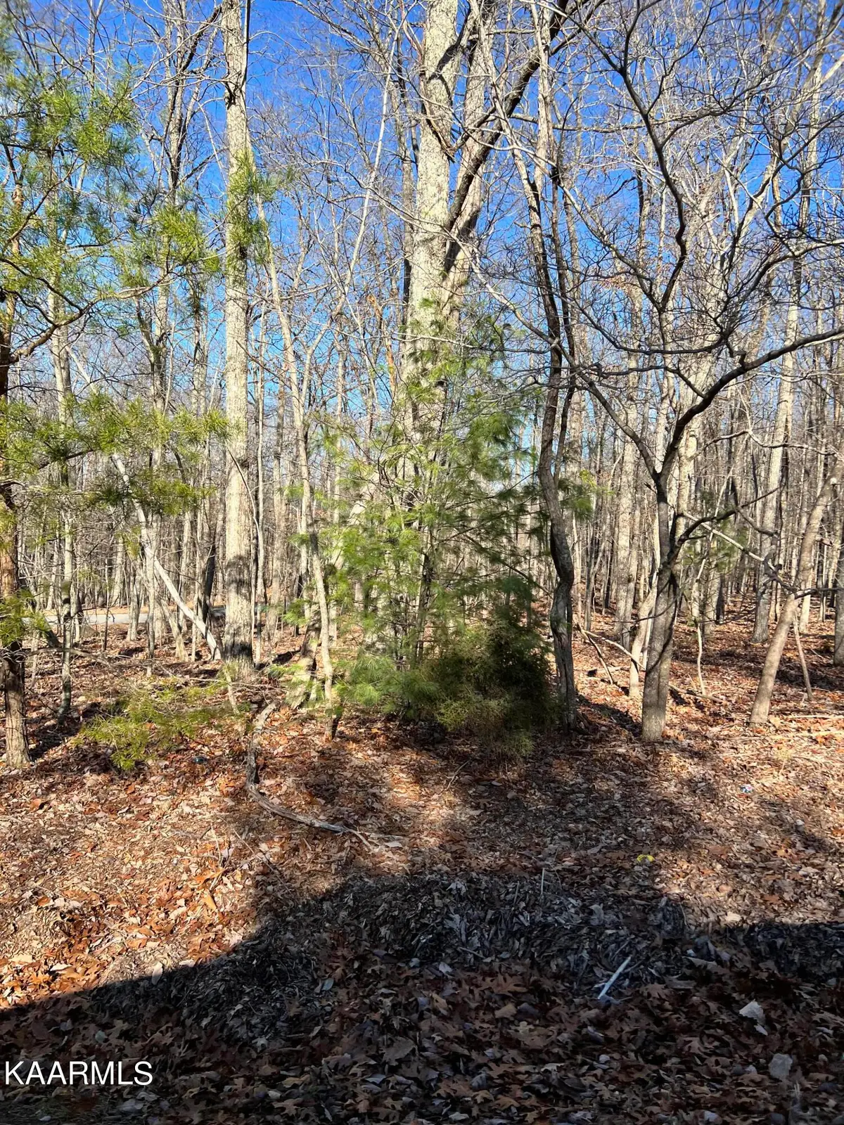 110 Markham Lane, Crossville, TN 38558 - #1