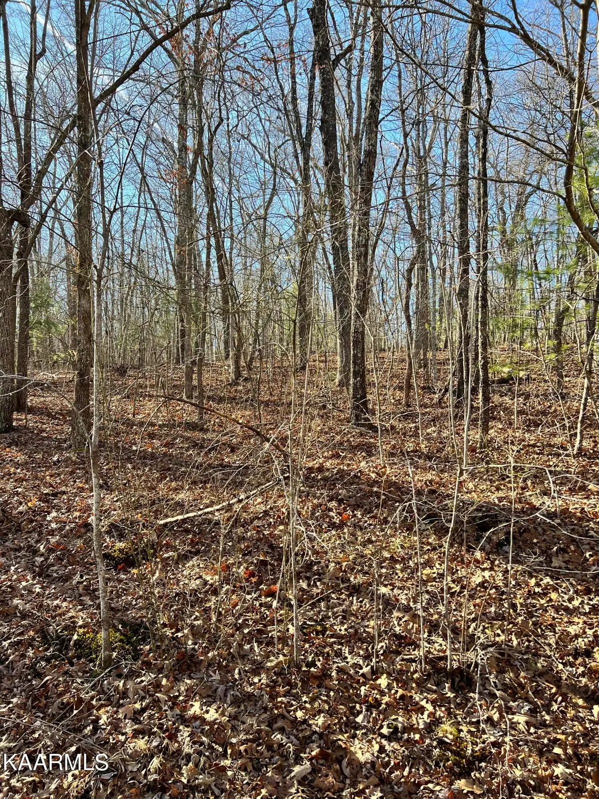 114 Hunterwood Lane, Crossville, TN 38558 - #1