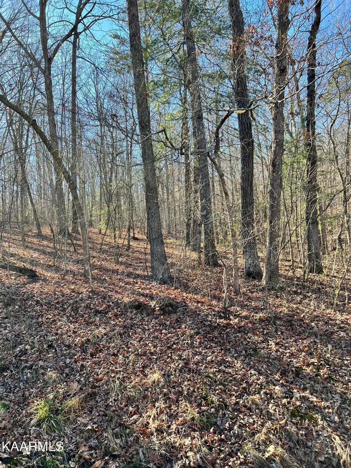 128 Hunterwood Lane, Crossville, TN 38558 - #1